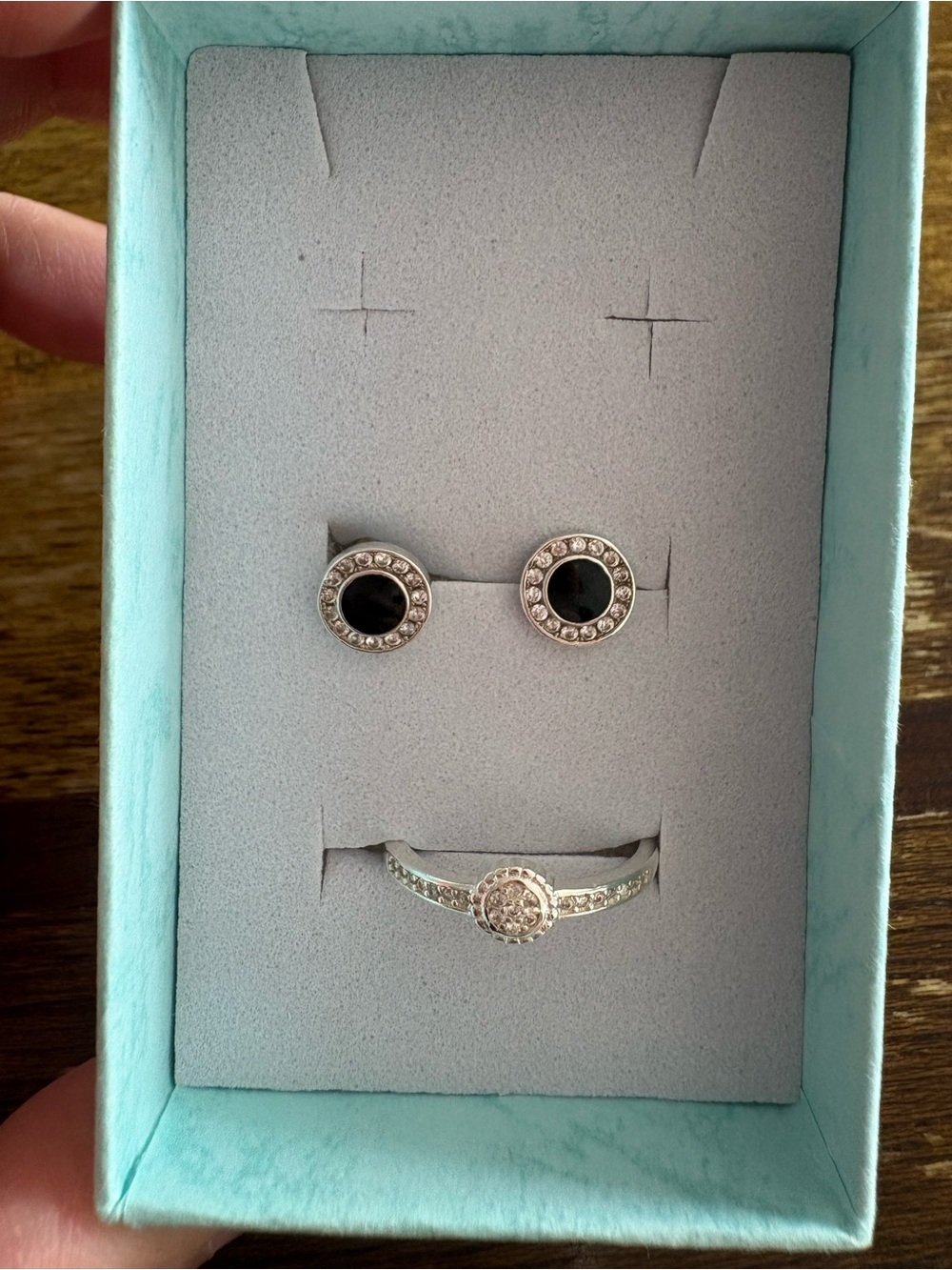 Sterling Silver925 Black Stone Halo Stud Earrings and Ring Set